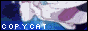 CopyCat CopyCat