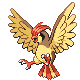 017pidgeotto.png