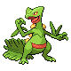 254sceptile.png