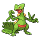 [PokeCommunity.com] 3rd Generation Duo Run