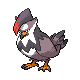 http://www.dragonflycave.com/dpsprites/398staraptor.png