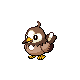 396starly-f.png