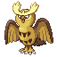 164noctowl.png