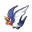 276taillow.png