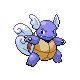 http://www.dragonflycave.com/hgsssprites/008wartortle.png