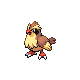 016pidgey.png