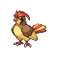 http://www.dragonflycave.com/hgsssprites/017pidgeotto.png