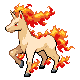 078rapidash.png