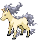 078rapidash.png