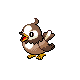 http://www.dragonflycave.com/hgssspritesshiny/frame2/396starly.png