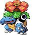 venustoise.png