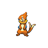 buizel