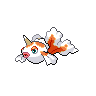 goldeen