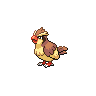 pidgey.png