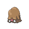 piloswine-f