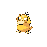 psyduck.png