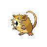 raticate-f