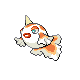 goldeen