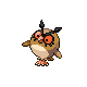 hoothoot