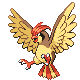 pidgeotto