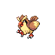 pidgey