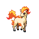 ponyta