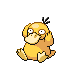 psyduck