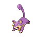 rattata