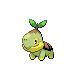 turtwig