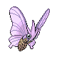 venomoth.png