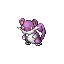 rattata