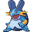 swampert