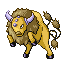 tauros