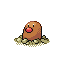 diglett