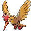 fearow