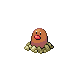 diglett