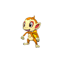 chimchar