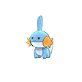 mudkip