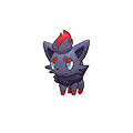 zorua