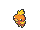 torchic