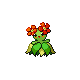 bellossom