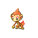 chimchar