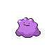 ditto