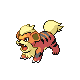 growlithe