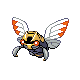 ninjask