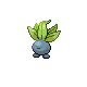 oddish