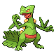 sceptile