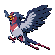 swellow