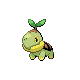 turtwig