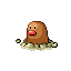 diglett